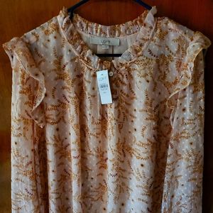 Ann Taylor xxl New Fall collection